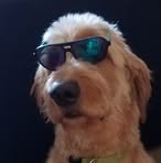 Profile Picture of Jim Stocker (@jim.stocker.96) on Facebook