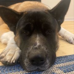 Profile Picture of lisaengelhardt47 (@lisaengelhardt47) on Tiktok