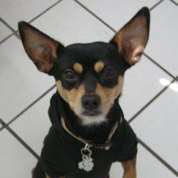 Profile Picture of Dawn Albert (@Dawn-Albert) on Facebook