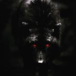 Profile Picture of Matthew (@matthew_wardrop) on Instagram