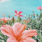 Profile Picture of Brandy James (@brandyjames5768) on Youtube