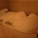 Profile Picture of Steven Goularte (@stevengoularte) on Instagram