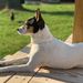 Profile Picture of Randall (@hurt64) on Pinterest
