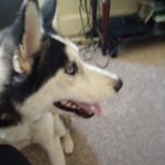 Profile Picture of James Iorio (@jamesiorio) on Instagram