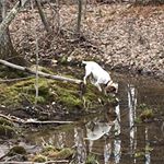 Profile Picture of Maureen Harder (@hardermaureen) on Instagram