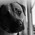 Profile Picture of Jacob Chapman (@Jacob-Chapman) on Facebook