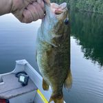 Profile Picture of Trevor Dobson (@trevor_dobson1) on Instagram