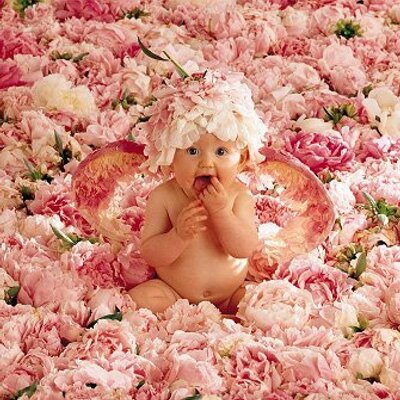 Profile Picture of Shelly Mehta (@shellymehta11) on Twitter