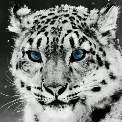 Profile Picture of Matthew Jacks (@mattj0819) on Twitter