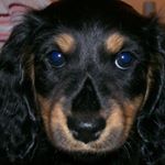 Gillian Ryan - Instagram Profile Picture of Gillian Ryan (@gillian.ryan.56) on Instagram