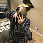 Profile Picture of Matthew Deer (@matthewdeer123) on Instagram