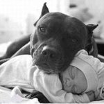 Profile Picture of Verna Gonzalez (@tanlaugen) on Instagram