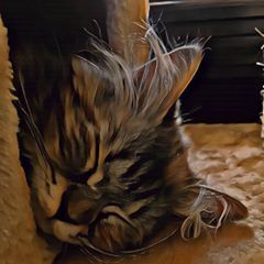 Profile Picture of Getwreckmisterj (@sherriharker) on Tiktok
