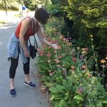 Profile Picture of Maureen Sutherland (@maureen.sutherland.108) on Instagram
