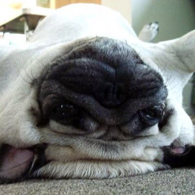 Profile Picture of Pimpanit Praisont (@primelfsuju) on Twitter