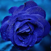 Profile Picture of Genesis Fletcher (@genesisfletcher2499) on Youtube