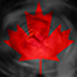 Profile Picture of Brad J White (@Brad J White) on Flickr