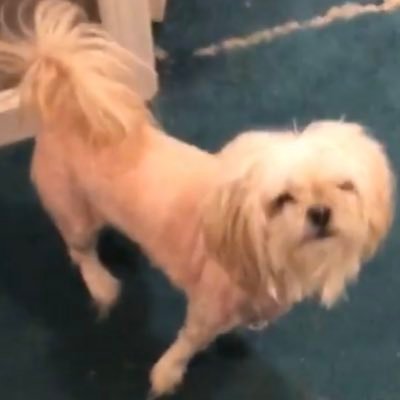 Profile Picture of Ariel Leahy (@arielleahy1) on Twitter