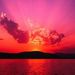 Profile Picture of Marcy Carson (@kenadi4) on Pinterest