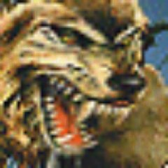 Profile Picture of Corey Winters (@coreywinters981) on Twitter