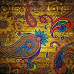 Profile Picture of Farah Mohammed (@mohammed.farah) on Instagram
