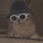 Follow for follow - Instagram Profile Picture of Follow for follow (@win_followers_23) on Instagram