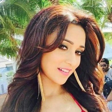 Profile Picture of Tina Pal (@TinaPal7) on Twitter