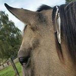 Profile Picture of Ilene Roberts (@ilene_roberts) on Instagram