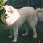 Profile Picture of Michaela Gregory (@micha_ela_25) on Instagram