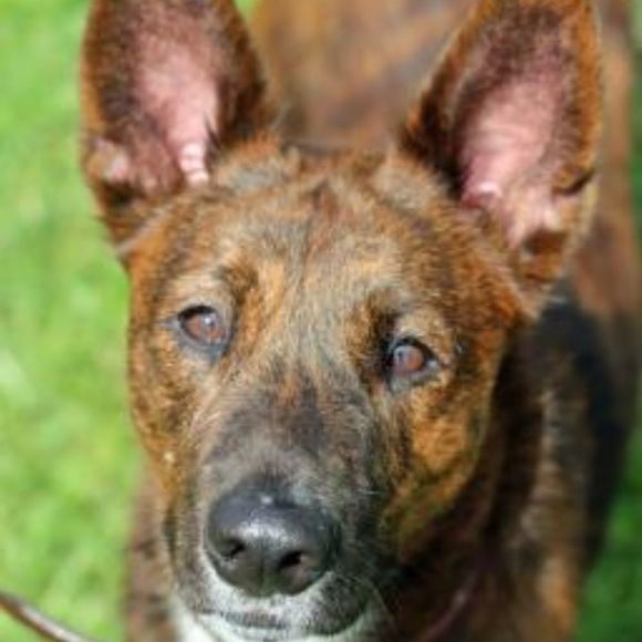 Profile Picture of Skylar Welkom (@skywelkom) on Poshmark