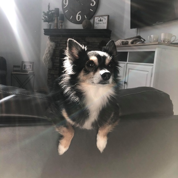 Profile Picture of Jessica Gerlock (@bugzzzbunny) on Poshmark