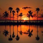 markmartinez2020 - Instagram Profile Picture of markmartinez2020 (@markmartinez2020) on Instagram