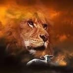 Profile Picture of Kevin Swift (@Kevin-Swift) on Facebook