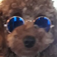 Profile Picture of Monica Mok (@monica-mok-3) on Quora