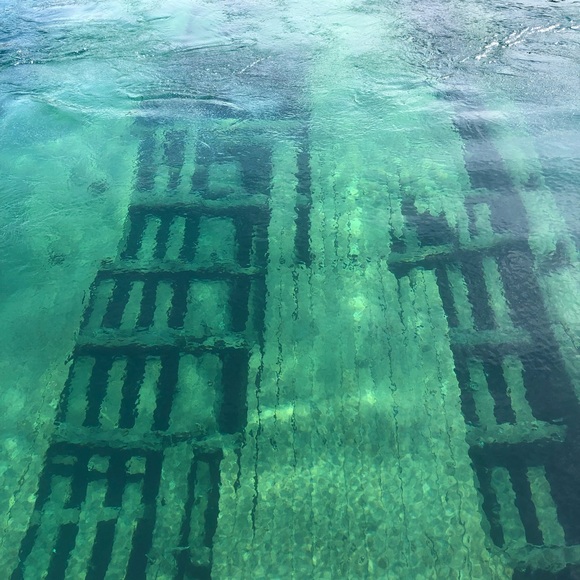 Profile Picture of Ivana Krizanac (@ivanakrizanac) on Poshmark