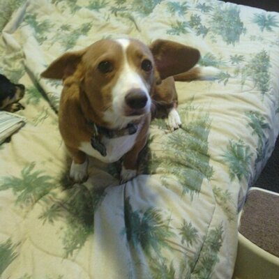 Profile Picture of Crystal Couch (@CouchCrystal) on Twitter