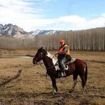 Jim Darby - Instagram Profile Picture of Jim Darby (@jim.darby.1232) on Instagram