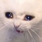 Profile Picture of Nathan Watton (@https.natewatt22) on Instagram