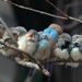 Profile Picture of Joann Fontenot (@fontenot630) on Pinterest
