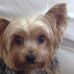 Profile Picture of Jean Cain (@jean.cain.5099) on Facebook