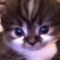 Profile Picture of Edwin Enriquez (@edwin.enriquez.79827) on Facebook