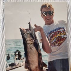 Profile Picture of Colin Campbell (@colin.campbell50) on Tiktok