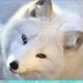 Profile Picture of Kim Sitton (@hot4boss) on Pinterest