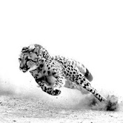 Profile Picture of Michael Silveira (@zZMichael300Zz) on Youtube