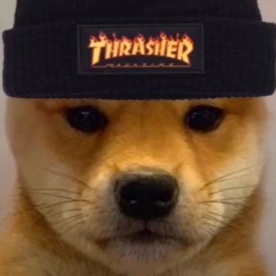 Profile Picture of Nathaniel Meyer (@Nathani75105732) on Twitter