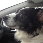 Profile Picture of Sam Scolari🎩 (@samscolari) on Instagram