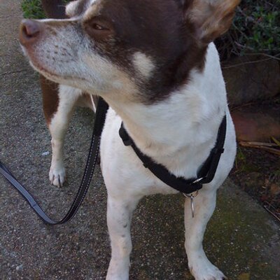 Profile Picture of Matt Slagle (@diamond7TEEN) on Twitter