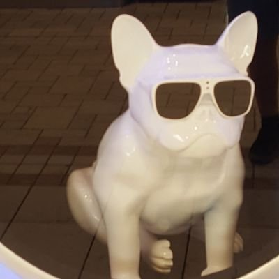 Profile Picture of Marc-Anthony Sakr (@marc_sake) on Twitter