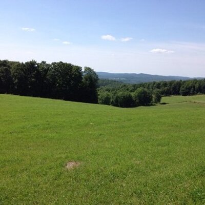 Profile Picture of Robert Menard (@menard_r) on Twitter