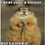 Profile Picture of Lisa Augsburger (@lisa.s_joy) on Flickr